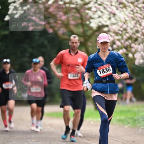 13.04.2025 - Hammer Lauf Dr. Thomas Lammeyer http://msf.ph/oto/7644852 13.04.2025 10:14:20 Laufen 1323, 15, 1836 meine-sportfotos.de