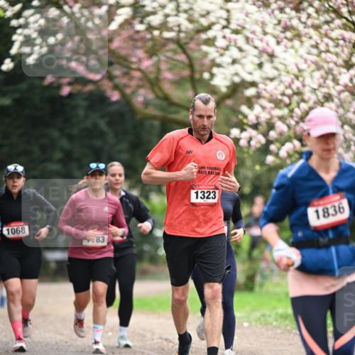 13.04.2025 - Hammer Lauf Dr. Thomas Lammeyer http://msf.ph/oto/7644854 13.04.2025 10:14:20 Laufen 1068, 83, 15, 1323, 1836 meine-sportfotos.de