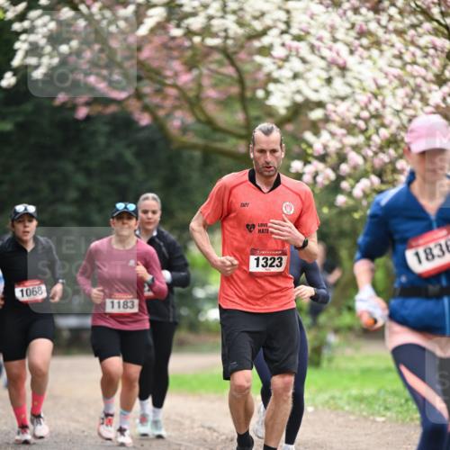 13.04.2025 - Hammer Lauf Dr. Thomas Lammeyer http://msf.ph/oto/7644858 13.04.2025 10:14:21 Laufen 1068, 1183, 15, 1323, 1836 meine-sportfotos.de