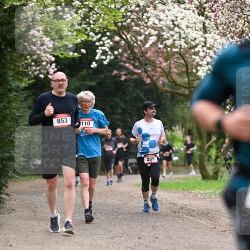 13.04.2025 - Hammer Lauf Dr. Thomas Lammeyer http://msf.ph/oto/7644943 13.04.2025 10:14:28 Laufen 853, 110, 209 meine-sportfotos.de