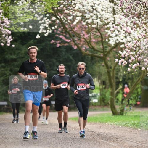 13.04.2025 - Hammer Lauf Dr. Thomas Lammeyer http://msf.ph/oto/7645044 13.04.2025 10:14:35 Laufen 1010, 1877, 1337 meine-sportfotos.de