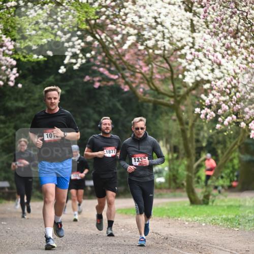 13.04.2025 - Hammer Lauf Dr. Thomas Lammeyer http://msf.ph/oto/7645048 13.04.2025 10:14:35 Laufen 10, 125, 1877, 13 meine-sportfotos.de