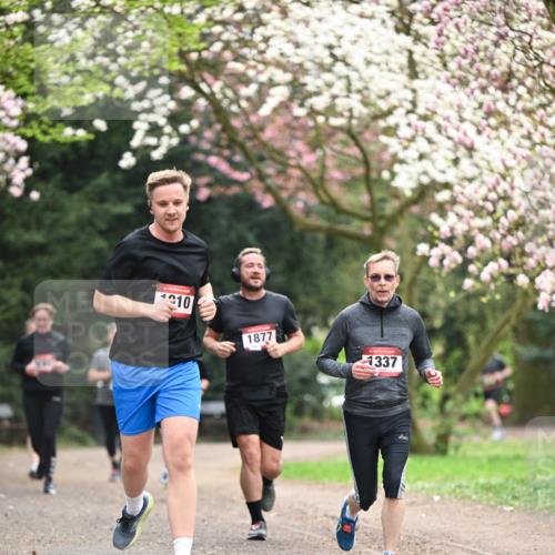 13.04.2025 - Hammer Lauf Dr. Thomas Lammeyer http://msf.ph/oto/7645069 13.04.2025 10:14:37 Laufen 10, 1877, 1337 meine-sportfotos.de