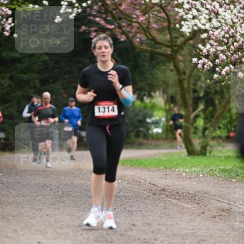 13.04.2025 - Hammer Lauf Dr. Thomas Lammeyer http://msf.ph/oto/7645234 13.04.2025 10:14:46 Laufen 1314 meine-sportfotos.de