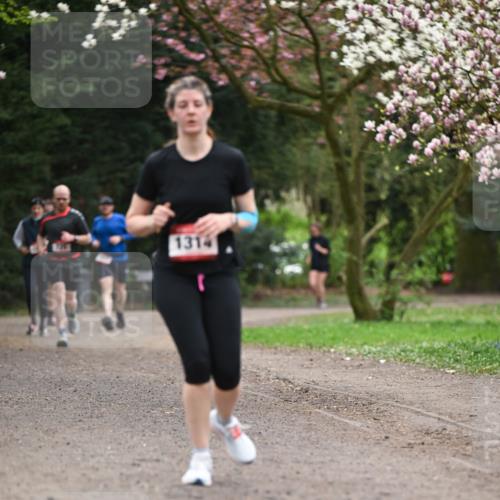 13.04.2025 - Hammer Lauf Dr. Thomas Lammeyer http://msf.ph/oto/7645241 13.04.2025 10:14:47 Laufen 1314 meine-sportfotos.de