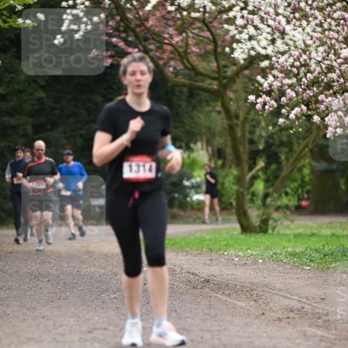 13.04.2025 - Hammer Lauf Dr. Thomas Lammeyer http://msf.ph/oto/7645244 13.04.2025 10:14:47 Laufen 1314 meine-sportfotos.de