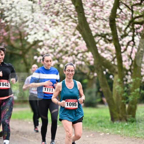 13.04.2025 - Hammer Lauf Dr. Thomas Lammeyer http://msf.ph/oto/7645495 13.04.2025 10:15:13 Laufen 15, 1942, 1111, 15, 1095 meine-sportfotos.de