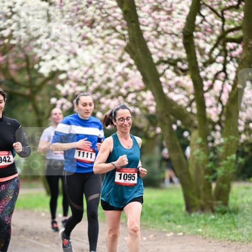 13.04.2025 - Hammer Lauf Dr. Thomas Lammeyer http://msf.ph/oto/7645499 13.04.2025 10:15:13 Laufen 942, 1111, 15, 1095 meine-sportfotos.de