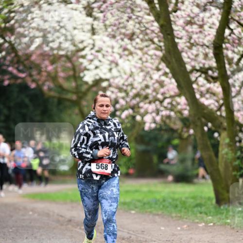 13.04.2025 - Hammer Lauf Dr. Thomas Lammeyer http://msf.ph/oto/7645669 13.04.2025 10:15:25 Laufen 15, 568 meine-sportfotos.de