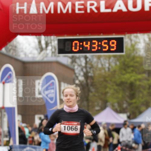 13.04.2025 - Hammer Lauf A. Gomolzig http://msf.ph/oto/7645671 13.04.2025 10:29:58 Ziel 305, 390, 1066 meine-sportfotos.de