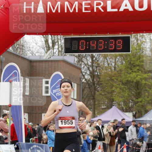 13.04.2025 - Hammer Lauf A. Gomolzig http://msf.ph/oto/7645753 13.04.2025 10:29:39 Ziel 272, 350, 739, 1014, 1104, 1739, 1955 meine-sportfotos.de