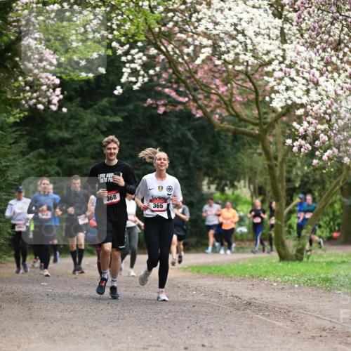 13.04.2025 - Hammer Lauf Dr. Thomas Lammeyer http://msf.ph/oto/7645754 13.04.2025 10:15:32 Laufen 368, 365 meine-sportfotos.de
