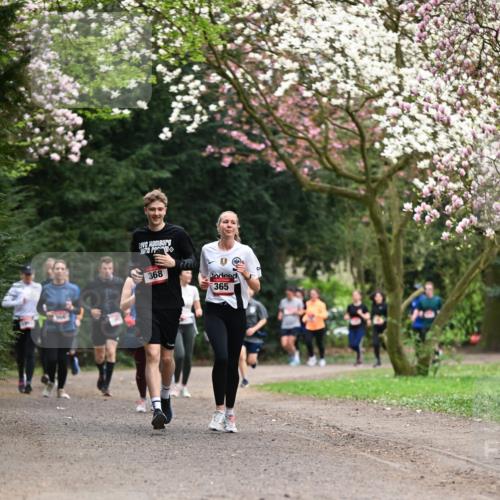 13.04.2025 - Hammer Lauf Dr. Thomas Lammeyer http://msf.ph/oto/7645756 13.04.2025 10:15:32 Laufen 368, 365 meine-sportfotos.de