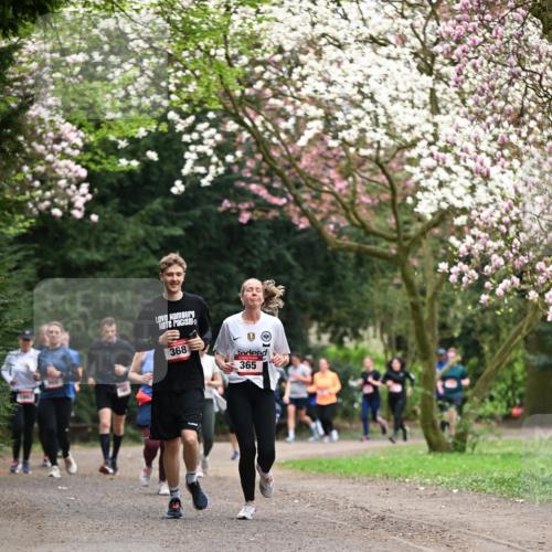 13.04.2025 - Hammer Lauf Dr. Thomas Lammeyer http://msf.ph/oto/7645762 13.04.2025 10:15:33 Laufen 368, 365 meine-sportfotos.de