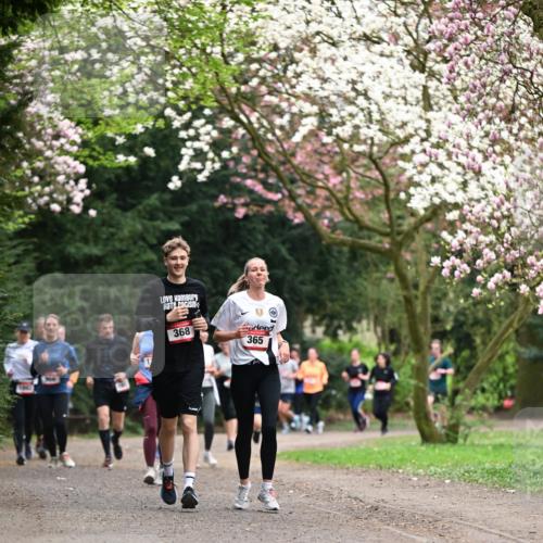 13.04.2025 - Hammer Lauf Dr. Thomas Lammeyer http://msf.ph/oto/7645765 13.04.2025 10:15:33 Laufen 368, 365 meine-sportfotos.de