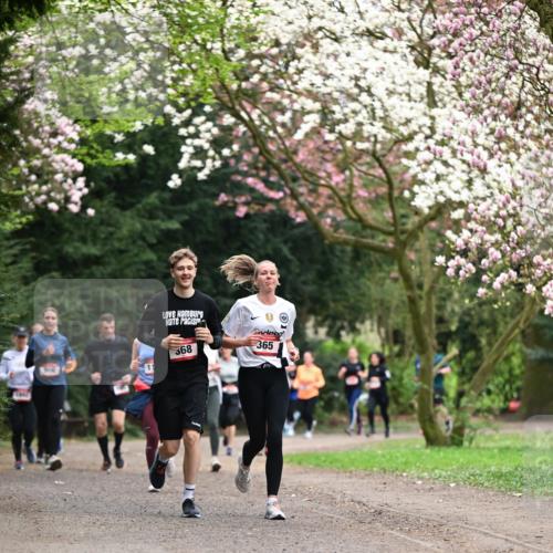 13.04.2025 - Hammer Lauf Dr. Thomas Lammeyer http://msf.ph/oto/7645768 13.04.2025 10:15:33 Laufen 368, 365 meine-sportfotos.de