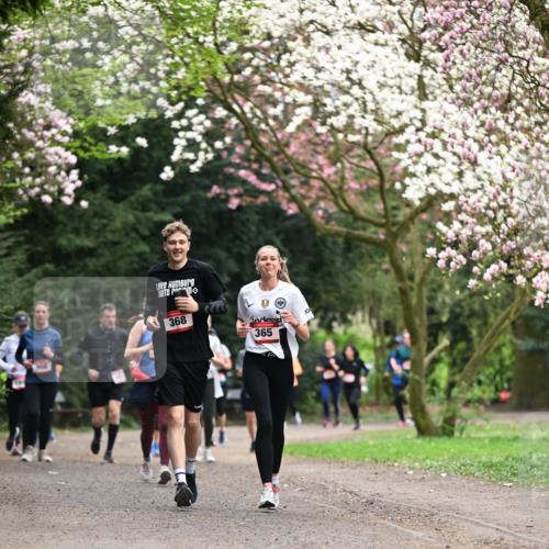 13.04.2025 - Hammer Lauf Dr. Thomas Lammeyer http://msf.ph/oto/7645775 13.04.2025 10:15:33 Laufen 368, 365 meine-sportfotos.de