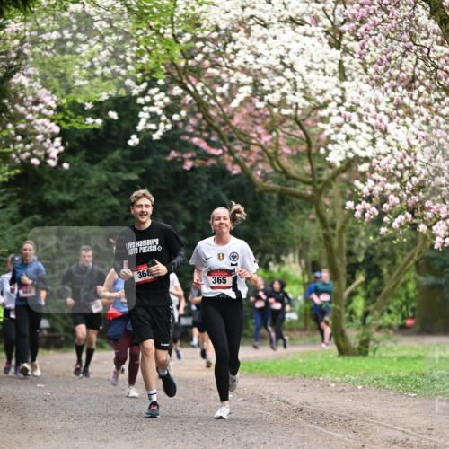13.04.2025 - Hammer Lauf Dr. Thomas Lammeyer http://msf.ph/oto/7645778 13.04.2025 10:15:33 Laufen 368, 365 meine-sportfotos.de