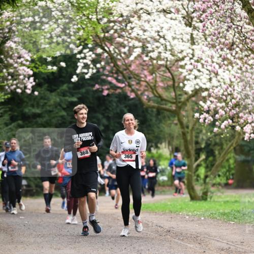 13.04.2025 - Hammer Lauf Dr. Thomas Lammeyer http://msf.ph/oto/7645781 13.04.2025 10:15:33 Laufen 11, 368, 365 meine-sportfotos.de