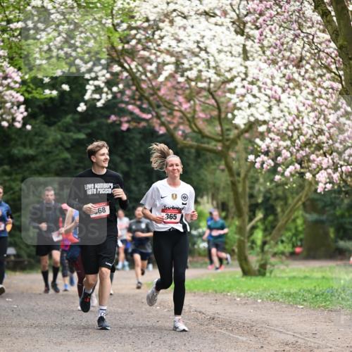 13.04.2025 - Hammer Lauf Dr. Thomas Lammeyer http://msf.ph/oto/7645786 13.04.2025 10:15:34 Laufen 68, 365, 1 meine-sportfotos.de