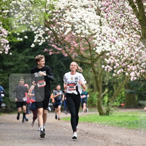13.04.2025 - Hammer Lauf Dr. Thomas Lammeyer http://msf.ph/oto/7645792 13.04.2025 10:15:34 Laufen 368, 365 meine-sportfotos.de