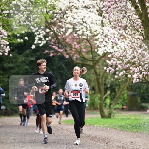 13.04.2025 - Hammer Lauf Dr. Thomas Lammeyer http://msf.ph/oto/7645796 13.04.2025 10:15:34 Laufen 36, 365 meine-sportfotos.de