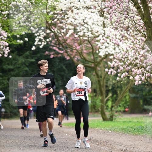 13.04.2025 - Hammer Lauf Dr. Thomas Lammeyer http://msf.ph/oto/7645799 13.04.2025 10:15:34 Laufen 368, 1, 365 meine-sportfotos.de
