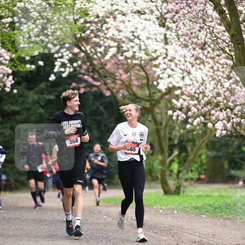 13.04.2025 - Hammer Lauf Dr. Thomas Lammeyer http://msf.ph/oto/7645802 13.04.2025 10:15:34 Laufen 368, 565 meine-sportfotos.de