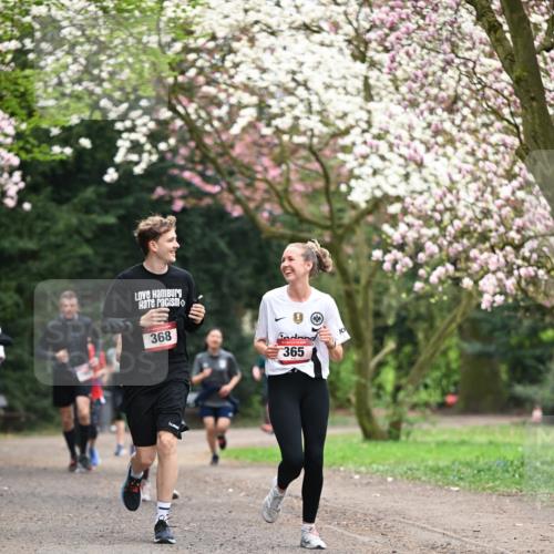13.04.2025 - Hammer Lauf Dr. Thomas Lammeyer http://msf.ph/oto/7645805 13.04.2025 10:15:34 Laufen 368, 365 meine-sportfotos.de