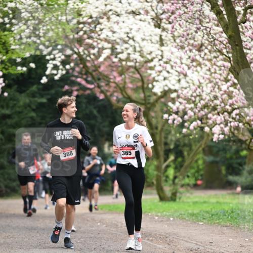 13.04.2025 - Hammer Lauf Dr. Thomas Lammeyer http://msf.ph/oto/7645808 13.04.2025 10:15:35 Laufen 368, 365 meine-sportfotos.de