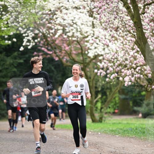 13.04.2025 - Hammer Lauf Dr. Thomas Lammeyer http://msf.ph/oto/7645813 13.04.2025 10:15:35 Laufen 36, 365 meine-sportfotos.de