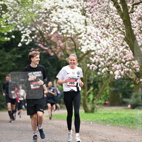 13.04.2025 - Hammer Lauf Dr. Thomas Lammeyer http://msf.ph/oto/7645817 13.04.2025 10:15:35 Laufen 368, 365 meine-sportfotos.de