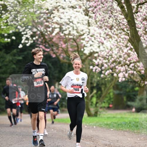 13.04.2025 - Hammer Lauf Dr. Thomas Lammeyer http://msf.ph/oto/7645820 13.04.2025 10:15:35 Laufen 368, 365 meine-sportfotos.de