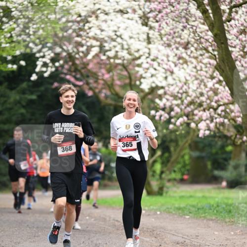 13.04.2025 - Hammer Lauf Dr. Thomas Lammeyer http://msf.ph/oto/7645827 13.04.2025 10:15:35 Laufen 368, 365 meine-sportfotos.de