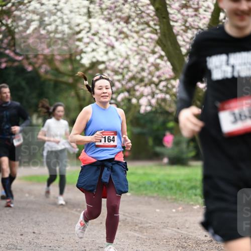 13.04.2025 - Hammer Lauf Dr. Thomas Lammeyer http://msf.ph/oto/7645852 13.04.2025 10:15:39 Laufen 164, 361 meine-sportfotos.de