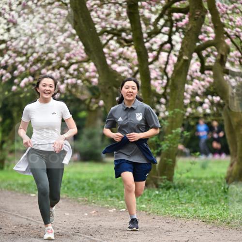13.04.2025 - Hammer Lauf Dr. Thomas Lammeyer http://msf.ph/oto/7645894 13.04.2025 10:15:41 Laufen  meine-sportfotos.de