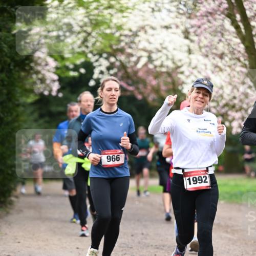 13.04.2025 - Hammer Lauf Dr. Thomas Lammeyer http://msf.ph/oto/7645927 13.04.2025 10:15:44 Laufen 966, 15, 1992 meine-sportfotos.de