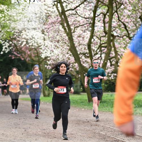 13.04.2025 - Hammer Lauf Dr. Thomas Lammeyer http://msf.ph/oto/7646030 13.04.2025 10:15:50 Laufen 539, 573, 1970 meine-sportfotos.de