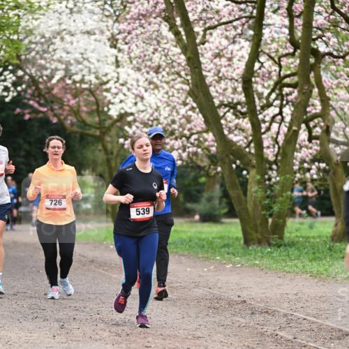 13.04.2025 - Hammer Lauf Dr. Thomas Lammeyer http://msf.ph/oto/7646057 13.04.2025 10:15:51 Laufen 726, 539 meine-sportfotos.de