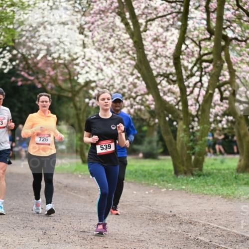 13.04.2025 - Hammer Lauf Dr. Thomas Lammeyer http://msf.ph/oto/7646060 13.04.2025 10:15:52 Laufen 3, 726, 539 meine-sportfotos.de
