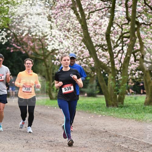 13.04.2025 - Hammer Lauf Dr. Thomas Lammeyer http://msf.ph/oto/7646064 13.04.2025 10:15:52 Laufen 53, 726, 539 meine-sportfotos.de