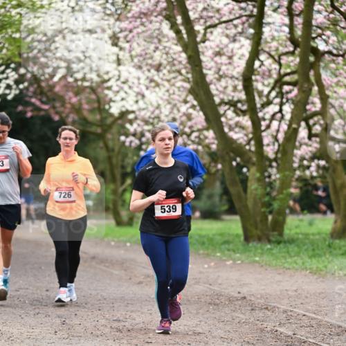 13.04.2025 - Hammer Lauf Dr. Thomas Lammeyer http://msf.ph/oto/7646068 13.04.2025 10:15:52 Laufen 3, 726, 15, 539 meine-sportfotos.de
