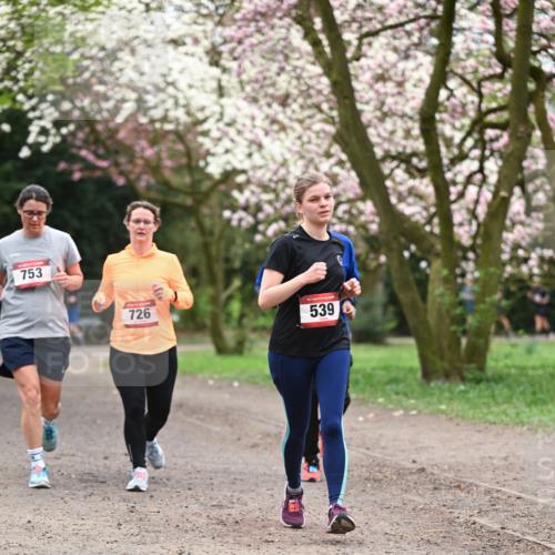 13.04.2025 - Hammer Lauf Dr. Thomas Lammeyer http://msf.ph/oto/7646072 13.04.2025 10:15:52 Laufen 753, 726, 15, 539 meine-sportfotos.de
