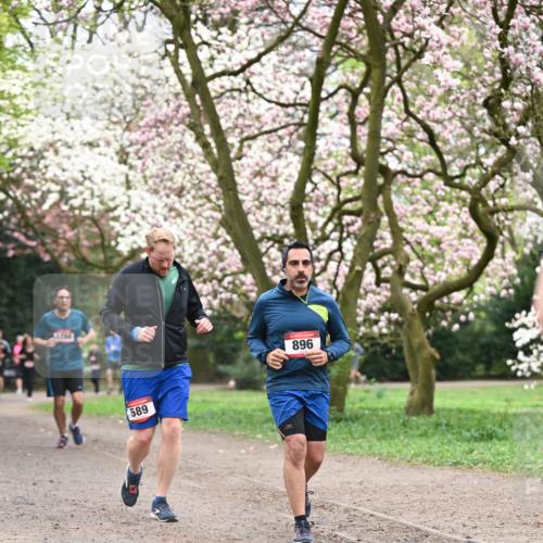 13.04.2025 - Hammer Lauf Dr. Thomas Lammeyer http://msf.ph/oto/7646280 13.04.2025 10:16:10 Laufen 589, 896 meine-sportfotos.de