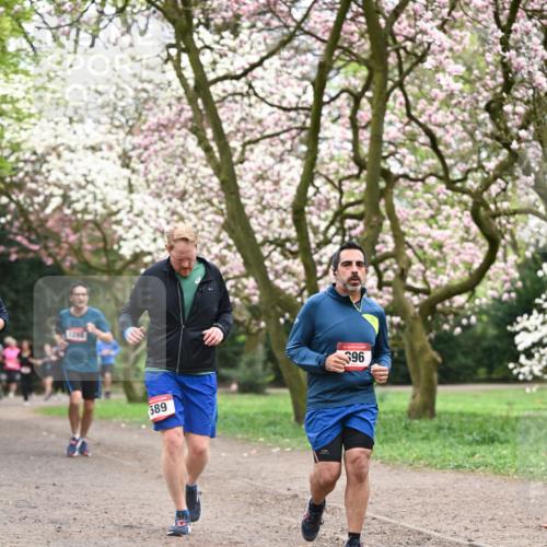 13.04.2025 - Hammer Lauf Dr. Thomas Lammeyer http://msf.ph/oto/7646289 13.04.2025 10:16:10 Laufen 1206, 589, 396 meine-sportfotos.de
