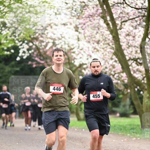 13.04.2025 - Hammer Lauf Dr. Thomas Lammeyer http://msf.ph/oto/7646417 13.04.2025 10:16:18 Laufen 15, 446, 15, 69, 455 meine-sportfotos.de