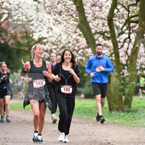 13.04.2025 - Hammer Lauf Dr. Thomas Lammeyer http://msf.ph/oto/7646527 13.04.2025 10:16:24 Laufen 183, 182, 17 meine-sportfotos.de