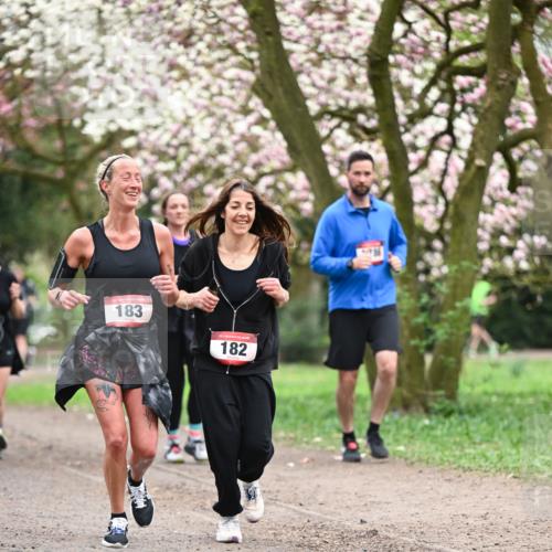 13.04.2025 - Hammer Lauf Dr. Thomas Lammeyer http://msf.ph/oto/7646534 13.04.2025 10:16:25 Laufen 183, 182 meine-sportfotos.de