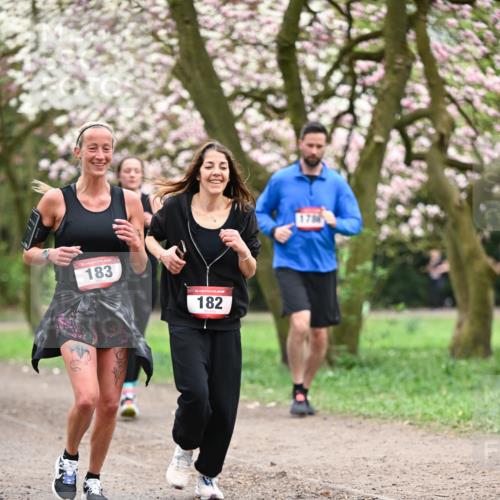 13.04.2025 - Hammer Lauf Dr. Thomas Lammeyer http://msf.ph/oto/7646544 13.04.2025 10:16:25 Laufen 183, 15, 182, 1786 meine-sportfotos.de