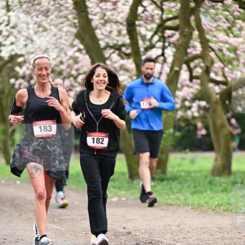13.04.2025 - Hammer Lauf Dr. Thomas Lammeyer http://msf.ph/oto/7646547 13.04.2025 10:16:25 Laufen 183, 15, 182, 176 meine-sportfotos.de